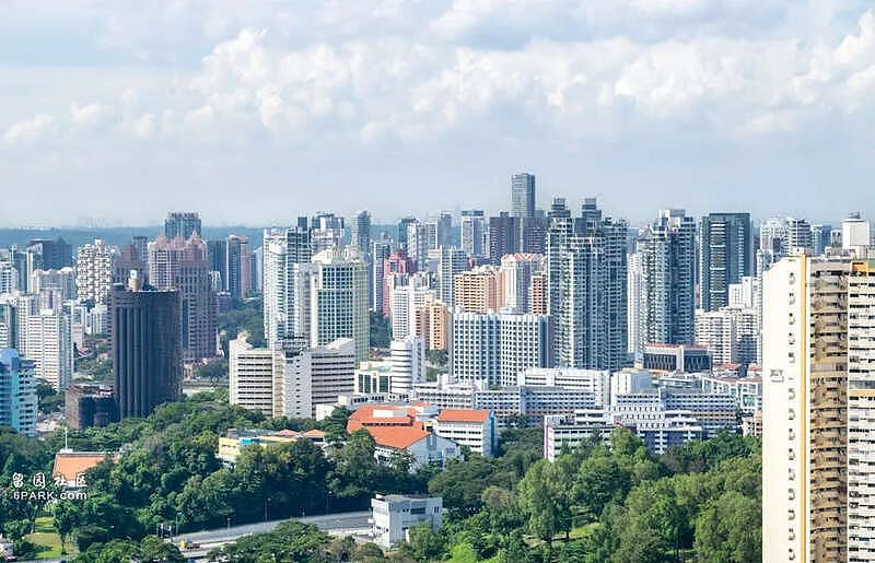 “人妻”陷阱与港漂骗局，信息被黑中介收割（组图） - 4