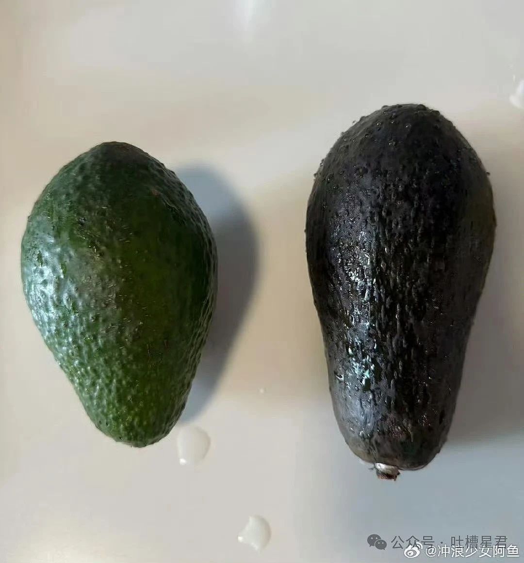【爆笑】“老公为省钱把百万新房改造成诊所风?”网友:啊啊这家谁敢回啊...(组图) - 34