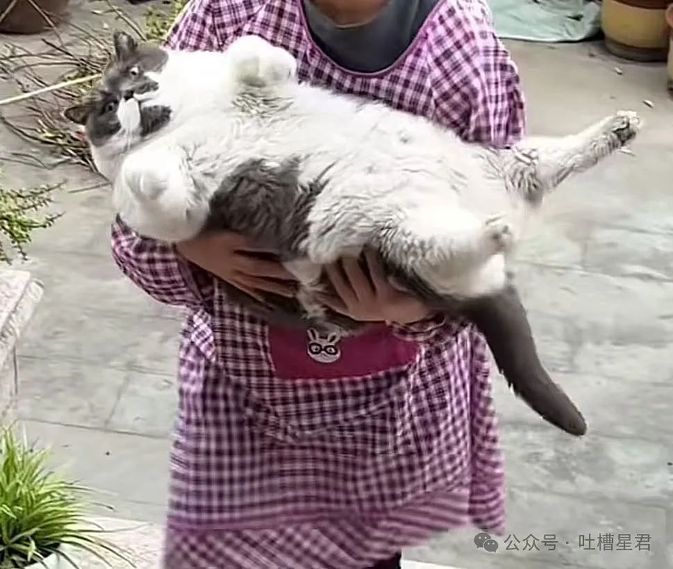 【爆笑】“穿上网购牛仔裤妙龄少女秒变罗圈腿...？”哈哈哈商家笑了三天才发货（组图） - 103