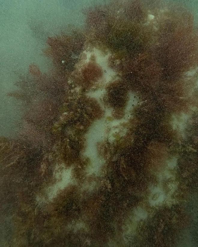 澳洲海域惊现168年前荷兰沉船残骸:揭开历史迷雾的重大发现(组图) - 2