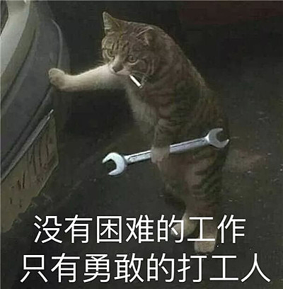 男子发现树上有一个奇怪的大包,他好奇地挖开了它,然后在场所有人惊呆了...(组图) - 11