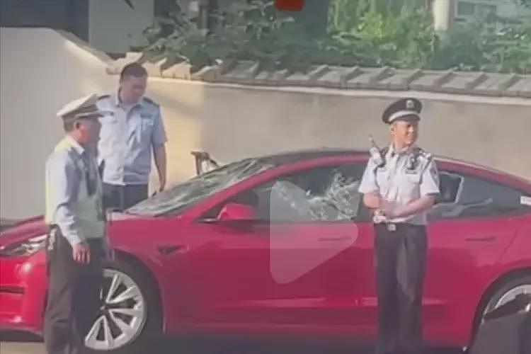 特斯拉车主骂保安是“看门狗”,保安当街怒砸其车,车损已够判刑(组图) - 16