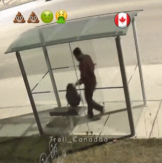 恶心炸裂！加拿大公车站有人当众拉屎，印度人都看不下去了，网友“左手拿纸擦！”（组图） - 3