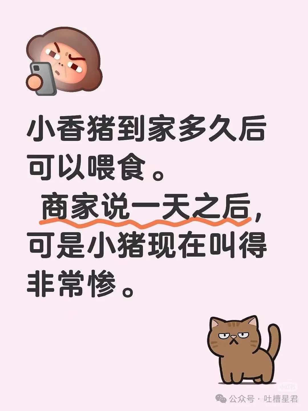 【爆笑】“穿上网购牛仔裤妙龄少女秒变罗圈腿...？”哈哈哈商家笑了三天才发货（组图） - 46