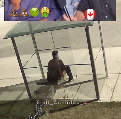 恶心炸裂！加拿大公车站有人当众拉屎，印度人都看不下去了，网友“左手拿纸擦！”（组图） - 6