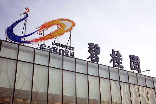 中国前女首富沦“砸锅卖铁”，盼公司尽快恢复正常（组图） - 3