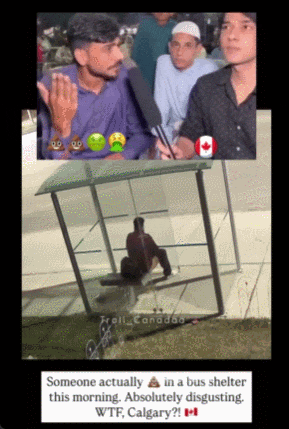恶心炸裂！加拿大公车站有人当众拉屎，印度人都看不下去了，网友“左手拿纸擦！”（组图） - 7