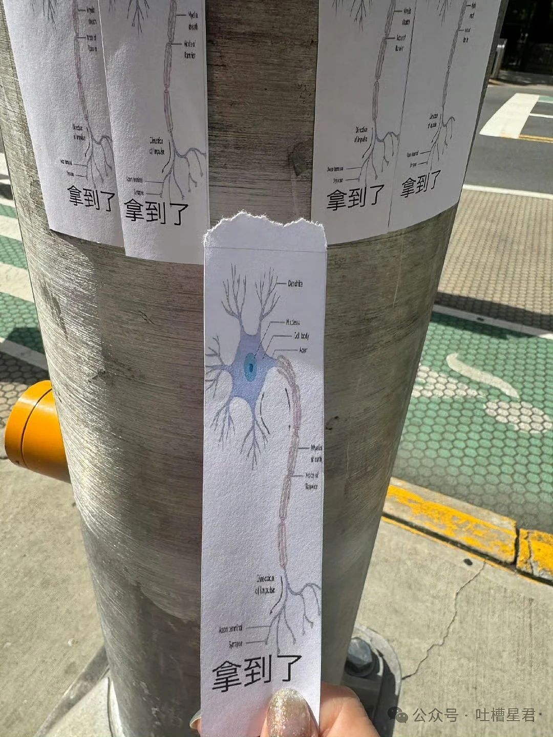 【爆笑】“老公为省钱把百万新房改造成诊所风?”网友:啊啊这家谁敢回啊...(组图) - 45