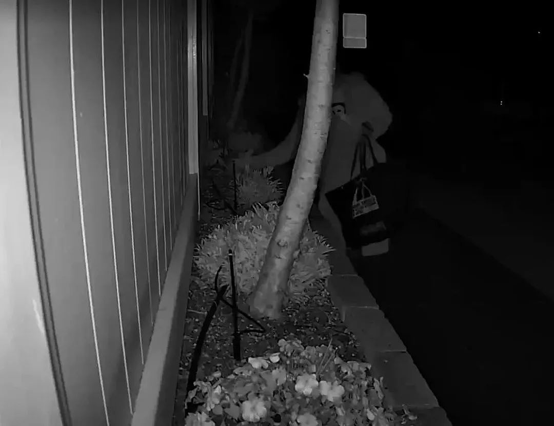 视频曝光！奥克兰夜行女贼专偷植物！Ponsonby业主：我种一盆她挖一盆！连仙人掌也不放过！（组图） - 2