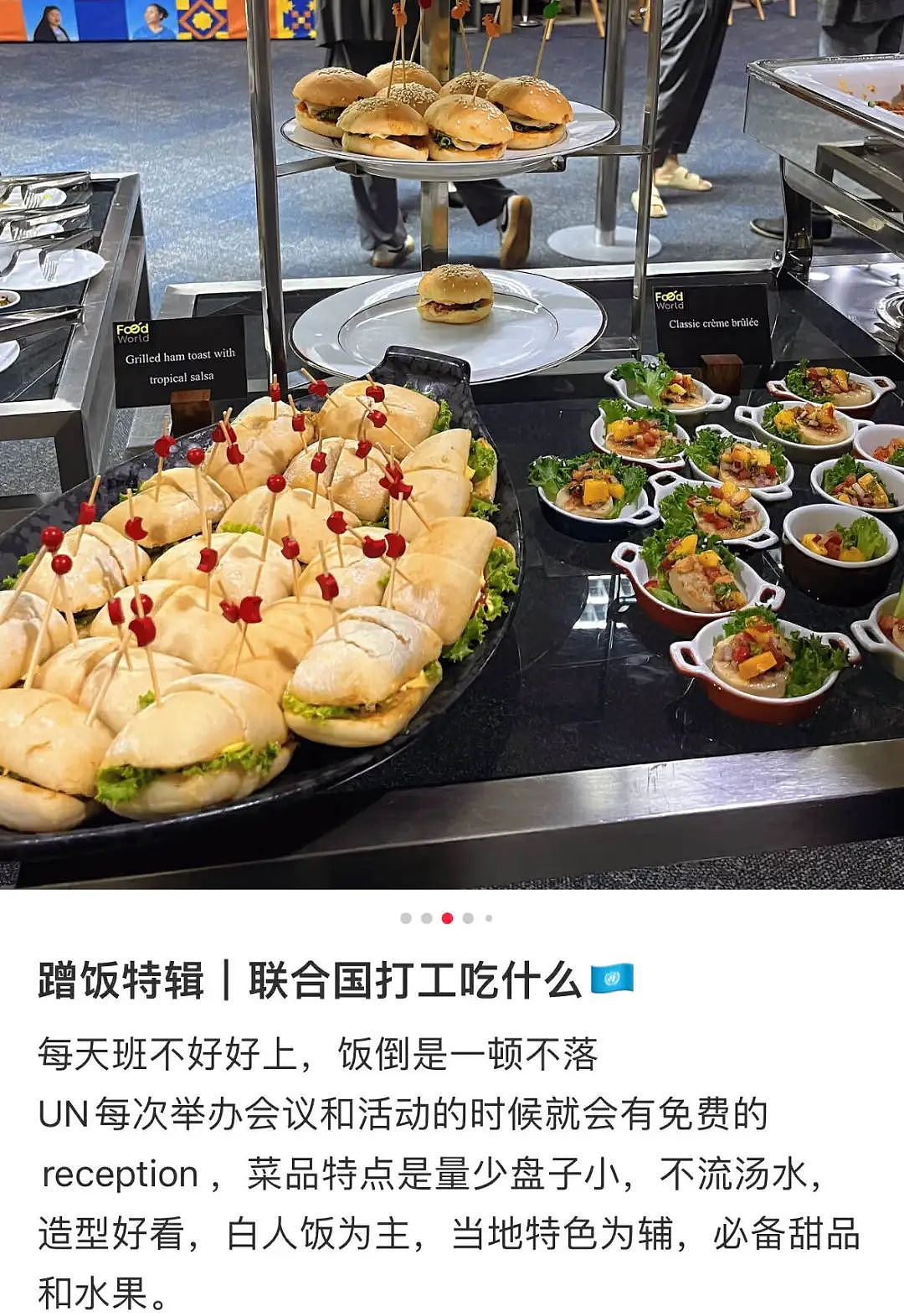 某红书上的联合国“假名媛”出事后,她们背后的“有钱人”玩得更大了...(组图) - 14