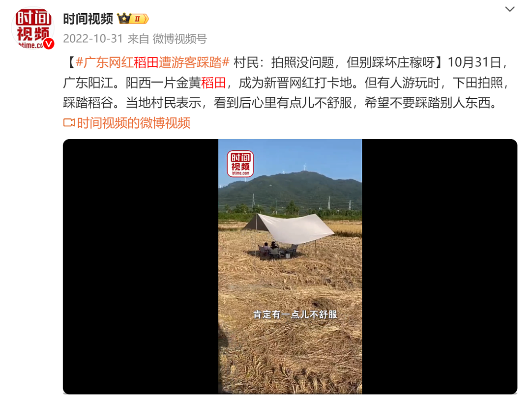 庄稼被踩踏，垃圾扔麦田，谁在“暴力打卡”？（组图） - 6