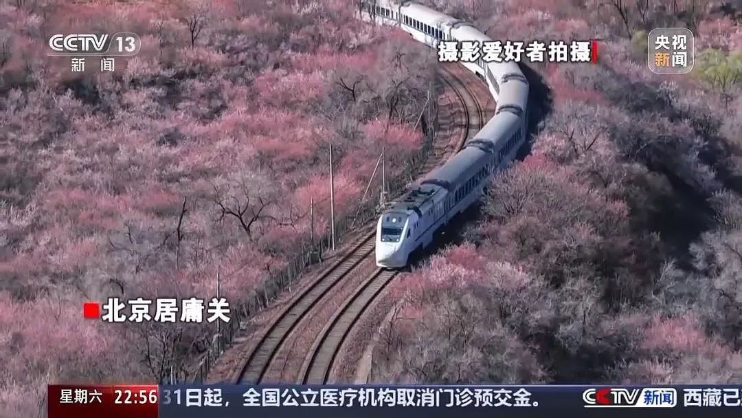 庄稼被踩踏，垃圾扔麦田，谁在“暴力打卡”？（组图） - 7