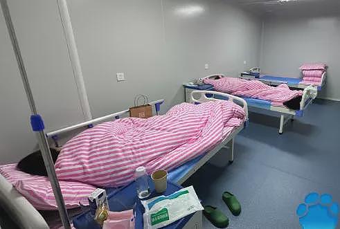 长沙代孕实验室“卵妹“有聋哑人，技术比医院专业（组图） - 1