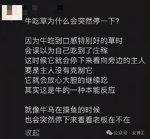 【爆笑】花4w给女朋友网购成人制服,试穿后...?网友笑疯:这画面太刺激!(组图) - 13