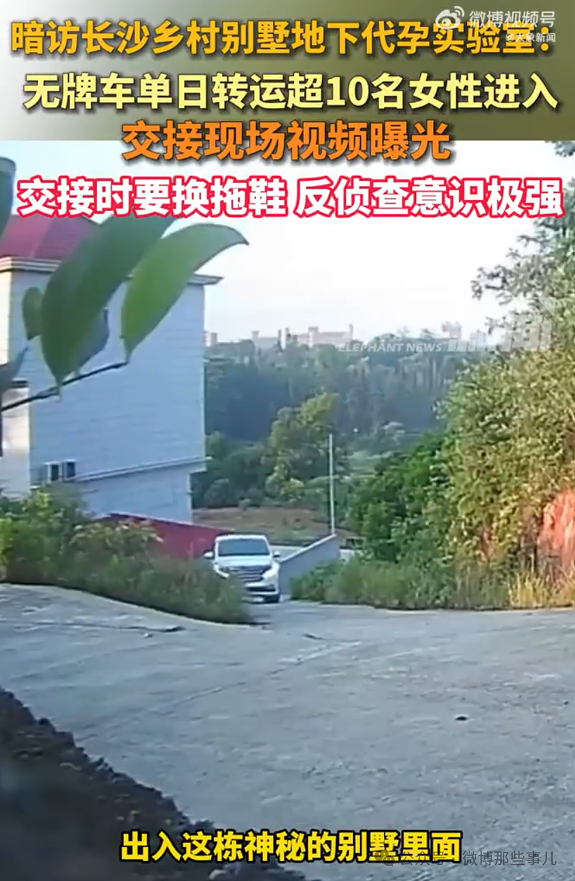 湖南乡村惊现非法代孕实验室！有聋哑女收28万代孕，涉案人员慌忙逃离，麻醉中代孕女子被遗弃（视频/组图） - 13