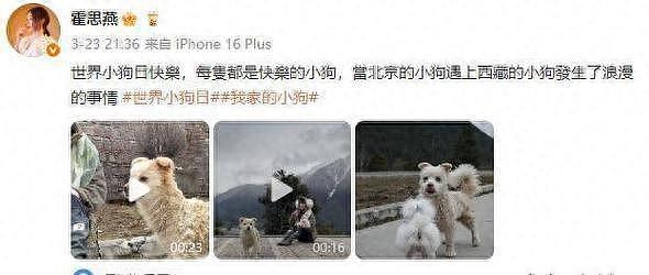 胖成“发面馒头“的霍思燕,44岁还能秀恩爱,黄奕“不甘心“也没办法(组图) - 1