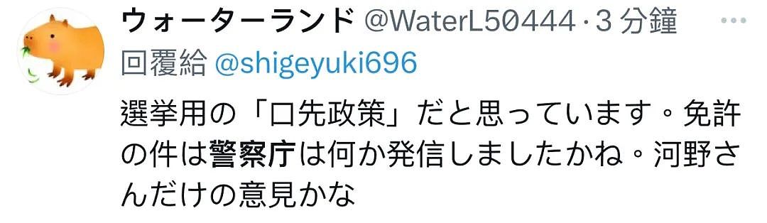 日本拟禁止中国游客换领日本驾照!日网友:已换领的驾照也该取消(组图) - 14
