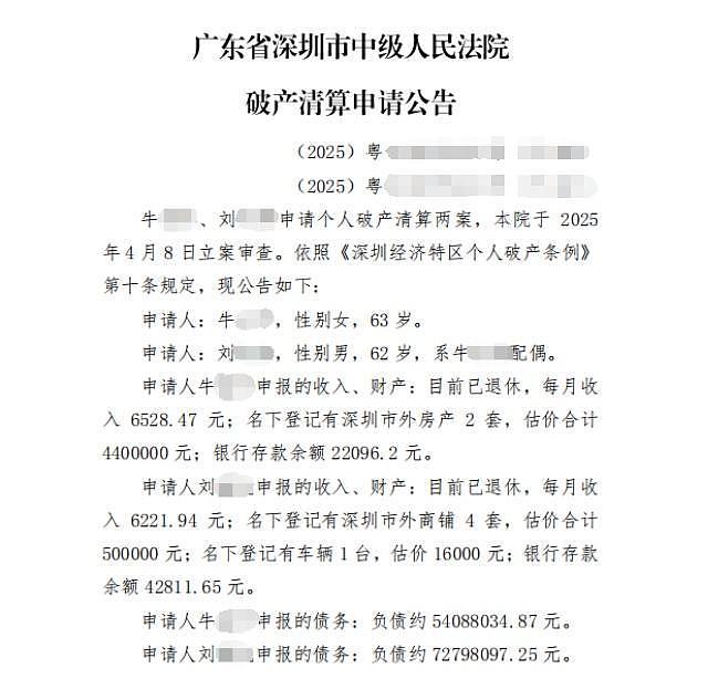 退休夫妻月入1.2万负债1.2亿?法院:正进行受理前审查(图) - 1