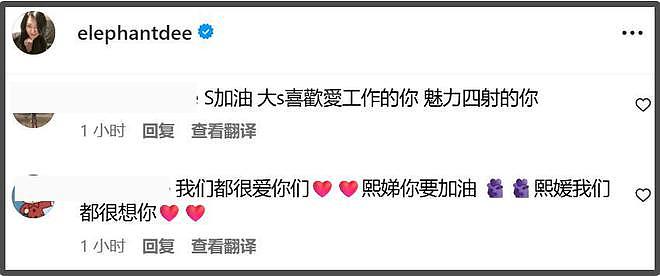 大S遗产丢失终于发酵了!小S评论区沦陷,网友喊话还给大S子女(组图) - 27