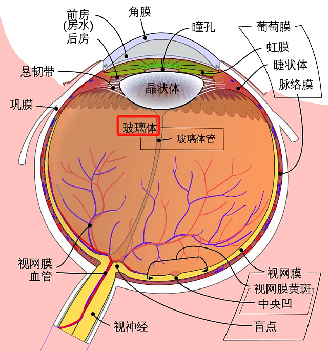当代人，正在被这种“绝症”折磨......（组图） - 3
