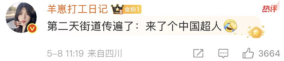 中国人都会武的秘密藏不住了,遇到这一届中国留子,欧洲小偷算是踢到铁板了(组图) - 4