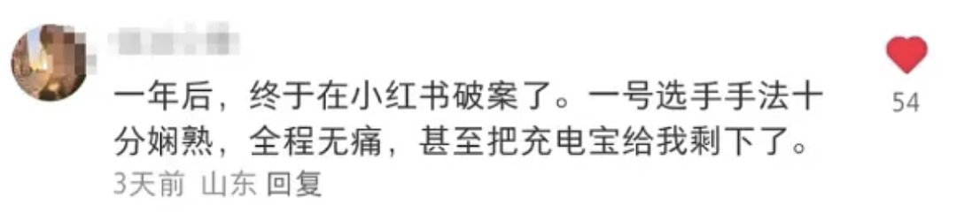 中国人都会武的秘密藏不住了,遇到这一届中国留子,欧洲小偷算是踢到铁板了(组图) - 11