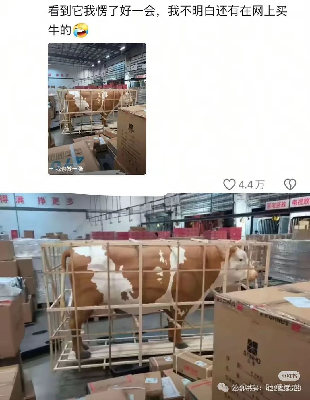 【爆笑】前夫哥断联一年突然给我转了1w…？啊啊啊这就是给自己一个交代吗（组图） - 35