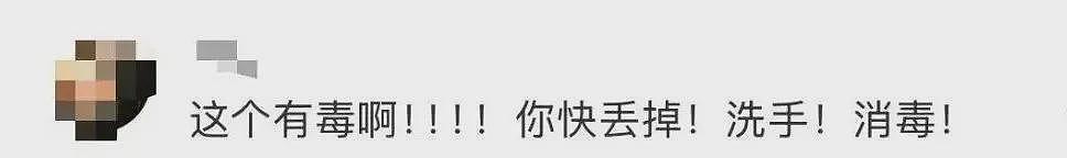 雨后遇到这种大蜗牛，别碰！赶紧远离！（组图） - 6