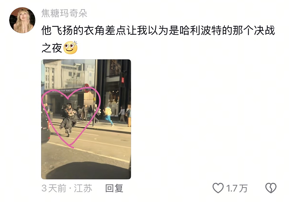 中国人都会武的秘密藏不住了,遇到这一届中国留子,欧洲小偷算是踢到铁板了(组图) - 37