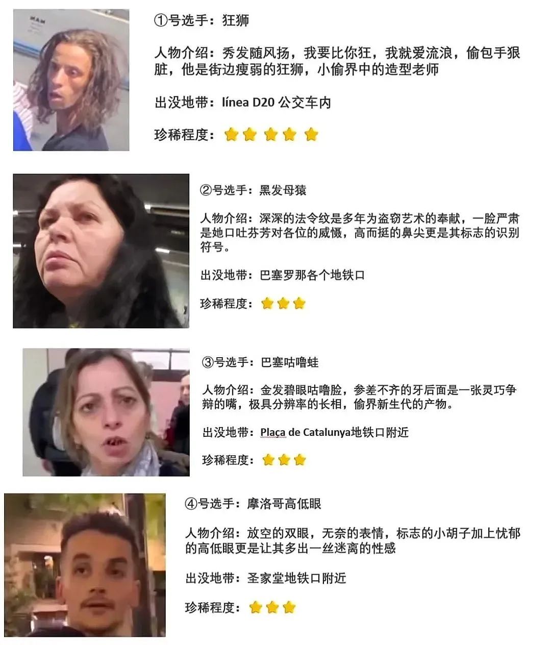 中国人都会武的秘密藏不住了,遇到这一届中国留子,欧洲小偷算是踢到铁板了(组图) - 8