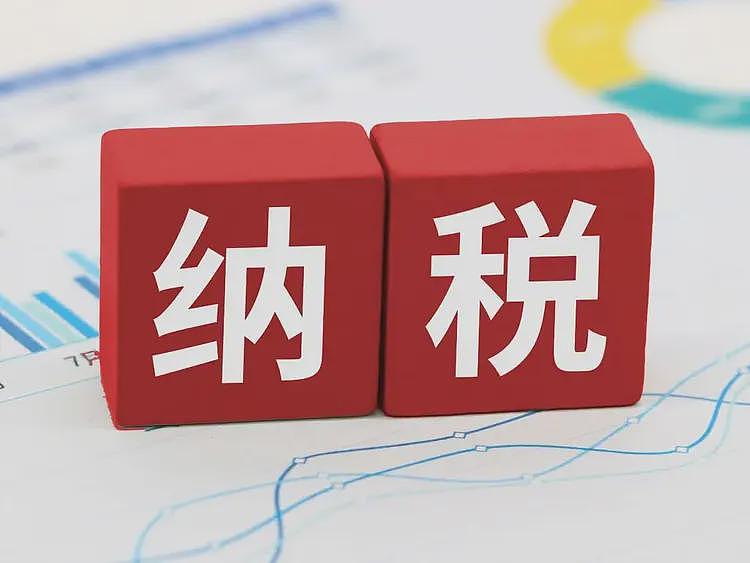 比房子更荒唐!个人收入要开始严查?(组图) - 6
