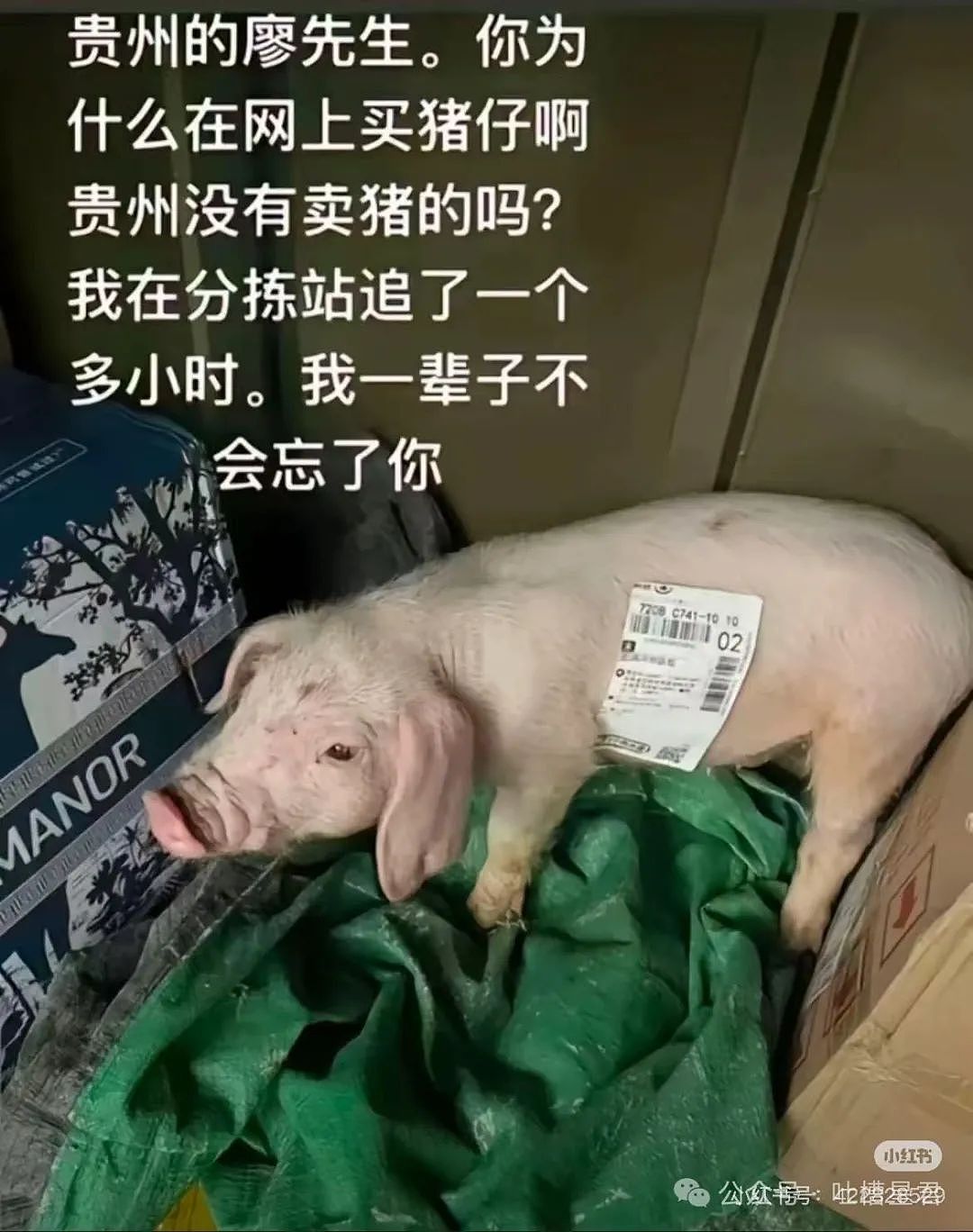 【爆笑】前夫哥断联一年突然给我转了1w…？啊啊啊这就是给自己一个交代吗（组图） - 34