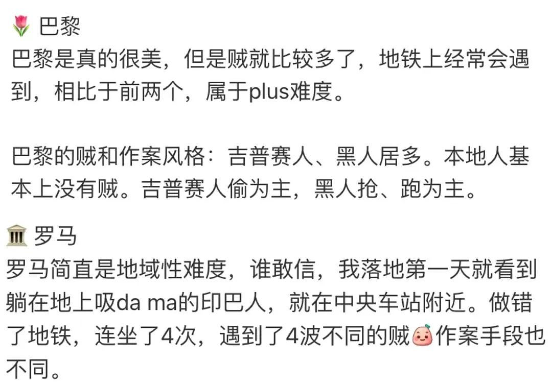 中国人都会武的秘密藏不住了,遇到这一届中国留子,欧洲小偷算是踢到铁板了(组图) - 19