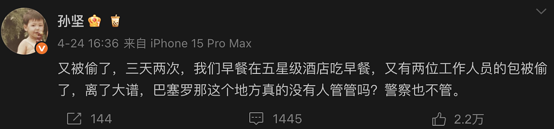 中国人都会武的秘密藏不住了,遇到这一届中国留子,欧洲小偷算是踢到铁板了(组图) - 35