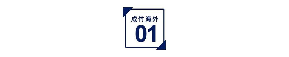 澳洲房价狂飙,海外投资者真的是“罪魁祸首”?(组图) - 2