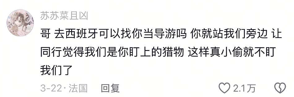 中国人都会武的秘密藏不住了,遇到这一届中国留子,欧洲小偷算是踢到铁板了(组图) - 27