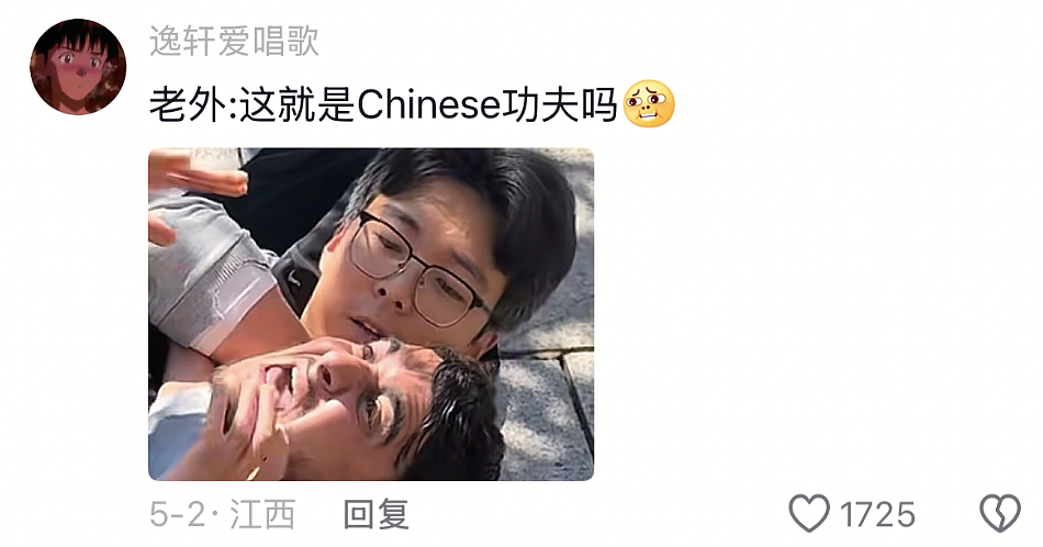 中国人都会武的秘密藏不住了,遇到这一届中国留子,欧洲小偷算是踢到铁板了(组图) - 5