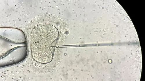 全澳炸锅！澳洲网红母亲花$4.5万，只想生女儿，此举在澳洲违法！（组图） - 1