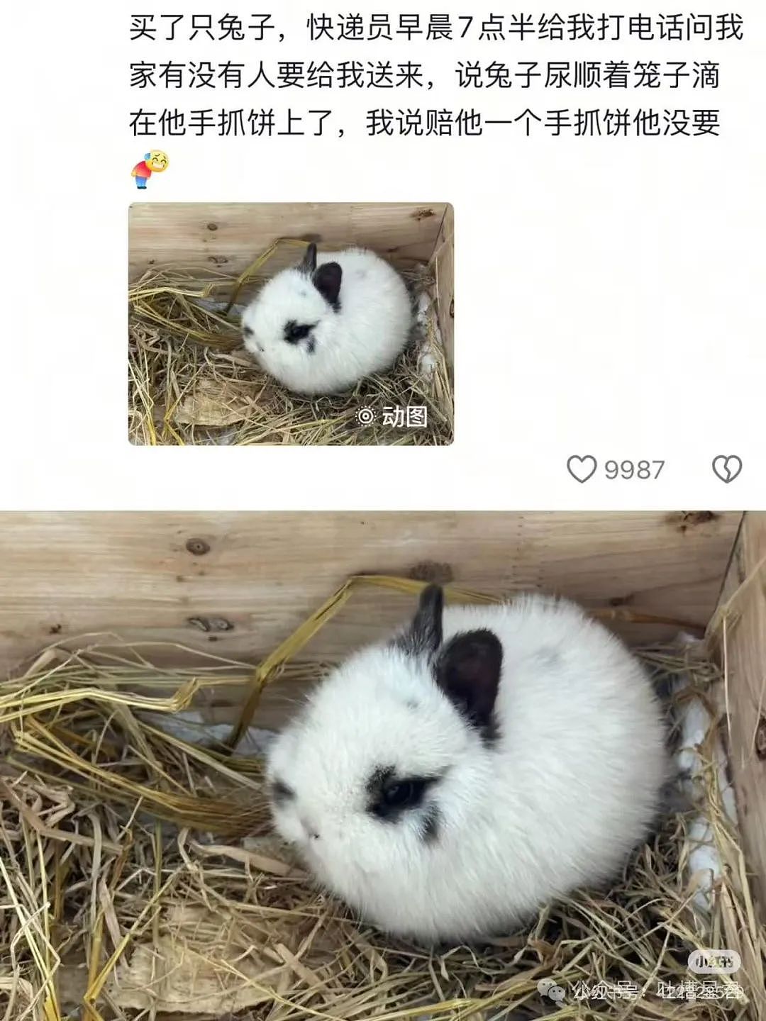 【爆笑】前夫哥断联一年突然给我转了1w…？啊啊啊这就是给自己一个交代吗（组图） - 36