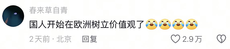 中国人都会武的秘密藏不住了,遇到这一届中国留子,欧洲小偷算是踢到铁板了(组图) - 6
