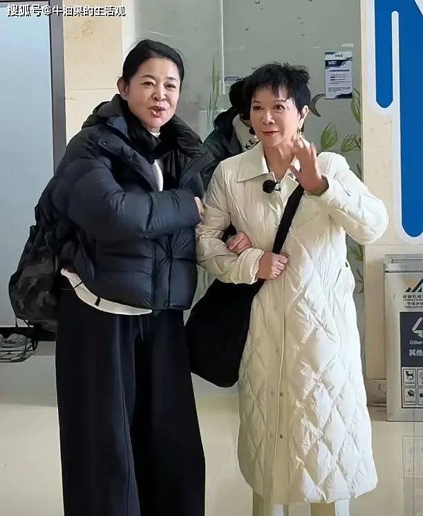 66岁倪萍近照曝光，大红唇尖下巴整容失败，被吐槽像格格巫（组图） - 4