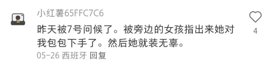 中国人都会武的秘密藏不住了,遇到这一届中国留子,欧洲小偷算是踢到铁板了(组图) - 9