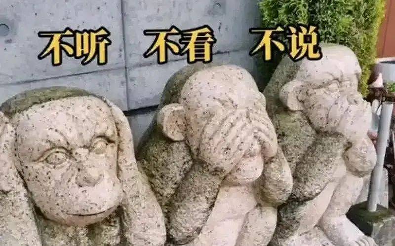 贾玲这个咖位的导演?女明星会有更年期...(组图) - 1