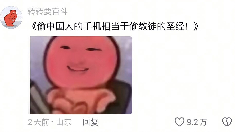 中国人都会武的秘密藏不住了,遇到这一届中国留子,欧洲小偷算是踢到铁板了(组图) - 38