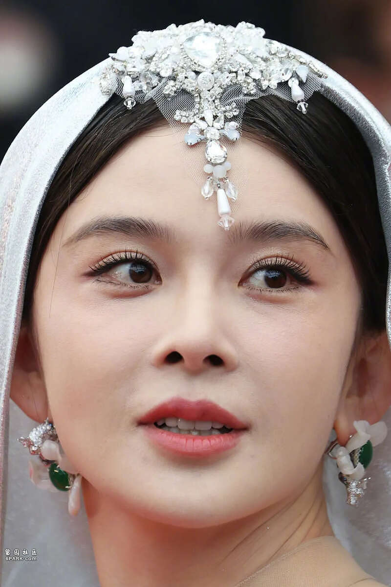 戛纳电影节红毯:刘晓庆豪横,小李子变清澈(组图) - 6