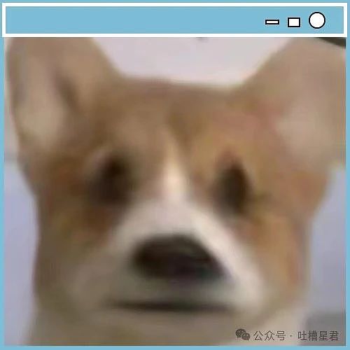 【爆笑】前夫哥断联一年突然给我转了1w…？啊啊啊这就是给自己一个交代吗（组图） - 2