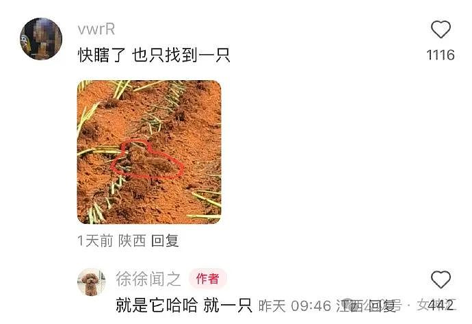 【爆笑】全网都在找潘玮柏的脖子?网友评论亮瞎眼(组图) - 31