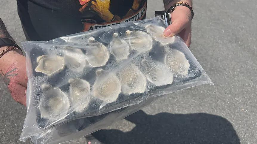 澳洲官方警告最近别吃生蚝，检测有毒！数千万只被隔离，有人吃了全身溃烂...（组图） - 2