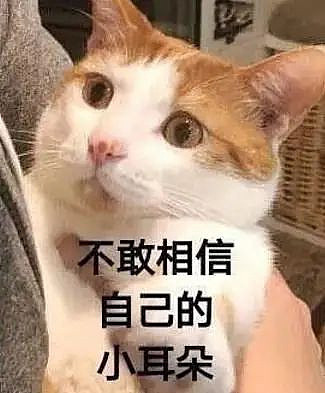 内娱劳模姐终于有新恋情?其实早就有迹可循?(组图) - 8
