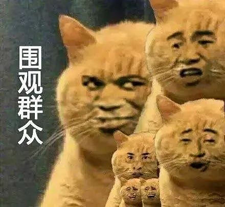 【爆笑】赵丽颖被曝新恋情?结果男方的面相冲上热搜第一?网友:看到这张脸,确实瑟瑟发抖…(组图) - 8
